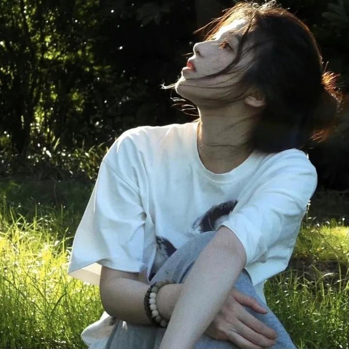 飞贼白菊花